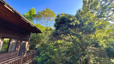 A wooden cabin with a balcony sits nestled among lush, green trees under a clear blue sky, creating a peaceful and scenic outdoor forest retreat.