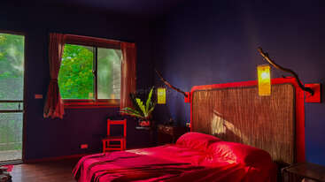 This room features deep blue walls, a large bed with red bedding, a bamboo headboard, warm yellow lighting, green plants, wooden furniture, and large windows.