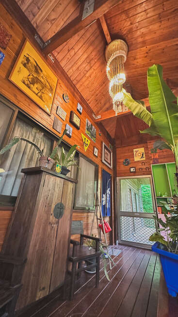 A cozy wooden room with high ceilings, indoor plants, a chandelier, eclectic artwork, a rustic cabinet, chairs, and natural light streaming through windows and a screened door.