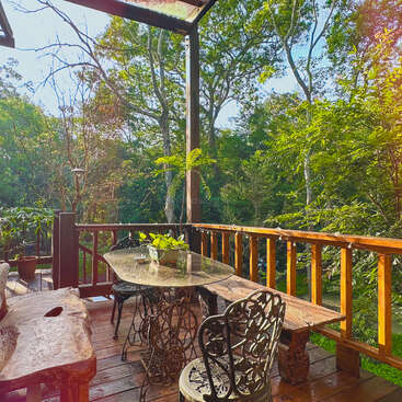 Una acogedora terraza de madera con muebles rústicos, mesa de cristal, plantas en macetas y sillas ornamentadas ofrece vistas a frondosos árboles verdes en un entorno forestal tranquilo e iluminado por el sol.