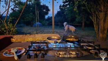 Eine Außenküche mit Gasherd und zwei Pfannen, in denen Essen gekocht wird. Ein Hund läuft in der Abenddämmerung im grasbewachsenen Hinterhof herum, umgeben von Bäumen und Natur.