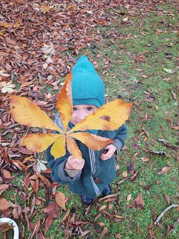 Un niño pequeño con una chaqueta con capucha verde azulado está de pie sobre la hierba otoñal, sosteniendo una gran hoja amarilla que le cubre parcialmente la cara, rodeado de hojas caídas esparcidas.