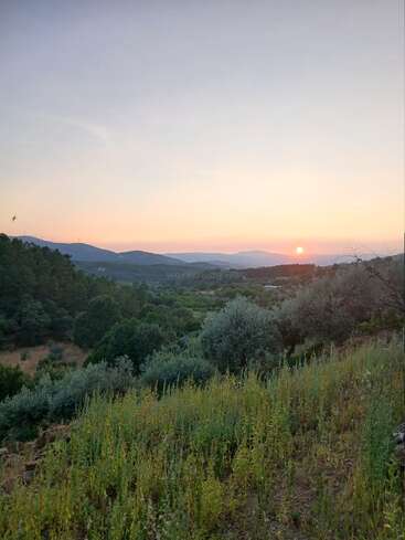 Un paisaje sereno al atardecer muestra colinas onduladas, frondosos árboles verdes y hierbas silvestres bajo un cielo color pastel, con el sol ocultándose suavemente tras unas montañas lejanas.