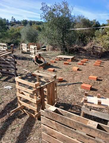 A person outdoors arranges red bricks on dry ground, surrounded by wooden pallets and trees, likely preparing for a building project under a sunny sky.