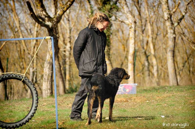a small shelter for a dog