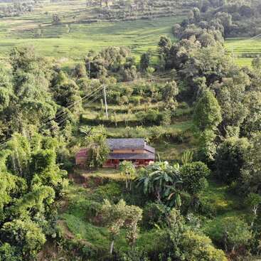 This image shows a small house nestled among lush green trees and vegetation, surrounded by terraced fields and intersecting power lines, with a peaceful, rural atmosphere.