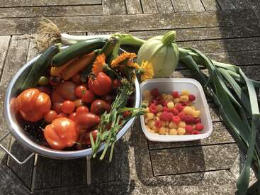 Un colador lleno de tomates, calabacines, zanahorias y flores descansa sobre una mesa rústica de madera, junto a una calabaza redonda, unos puerros y una cesta de frambuesas.