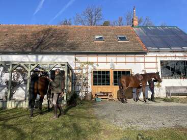 Hay dos personas junto a unos caballos delante de una casa rústica con techo de tejas. El sol brilla y las sombras se proyectan sobre el jardín cubierto de hierba.