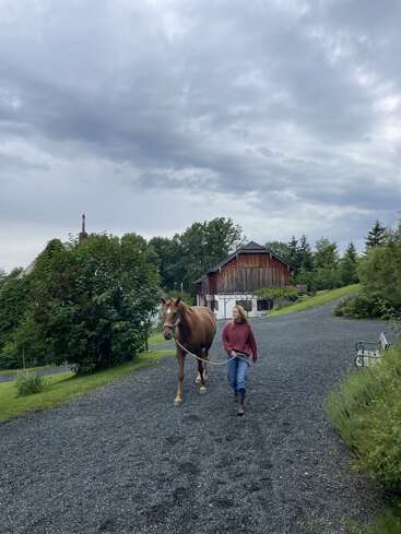 Una mujer con botas pasea a un caballo castaño por un camino de grava. Un granero rústico de madera, árboles verdes y un cielo nublado crean una tranquila escena rural.