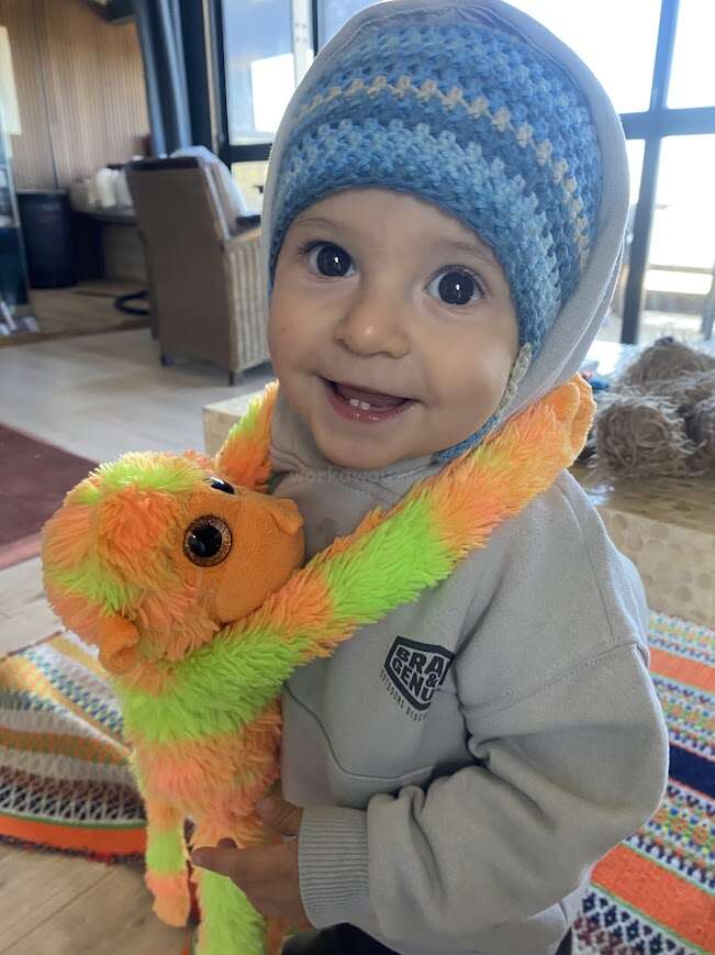 A cheerful baby wearing a blue knit hat and gray hoodie smiles brightly while hugging a colorful stuffed monkey in a cozy, sunlit living room.