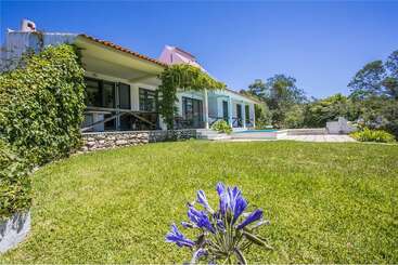 A beautiful house with a red-tiled roof, surrounded by lush greenery, a manicured lawn, vibrant purple flowers, a spacious patio, and clear blue sky.