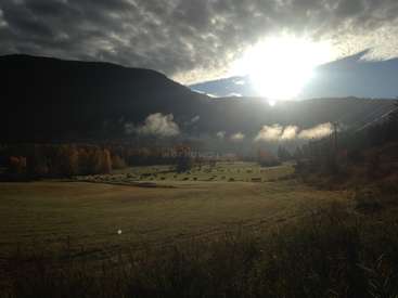 The image depicts a serene landscape with a field of cows, a mountain range, and a cloudy sky, with the sun shining through the clouds.