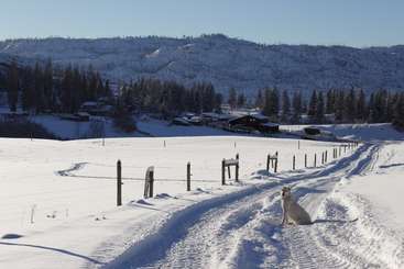 The image depicts a serene winter scene, featuring a snow-covered landscape with a frozen lake or river, surrounded by trees and hills, evoking a sense of tranquility and natural beauty.