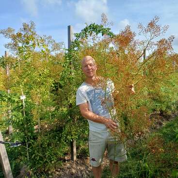 Um homem está em um jardim ensolarado, sorrindo e segurando um grande galho frondoso com pequenos botões alaranjados. Plantas de um verde exuberante o cercam sob um céu azul.