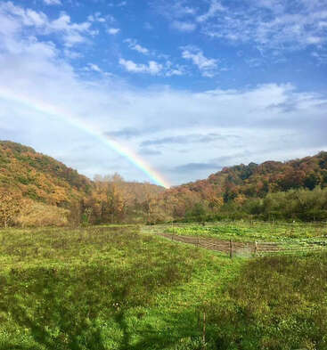 Um arco-íris vibrante se estende por um céu azul brilhante, arqueando sobre colinas ondulantes com árvores coloridas de outono e um campo verde e exuberante cercado por cercas de madeira.