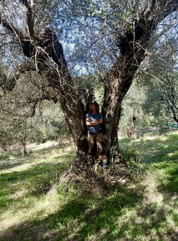 Uma mulher está sob uma grande e antiga oliveira em um bosque iluminado pelo sol. Ela está relaxada, de braços cruzados, cercada por uma vegetação exuberante e beleza natural.
