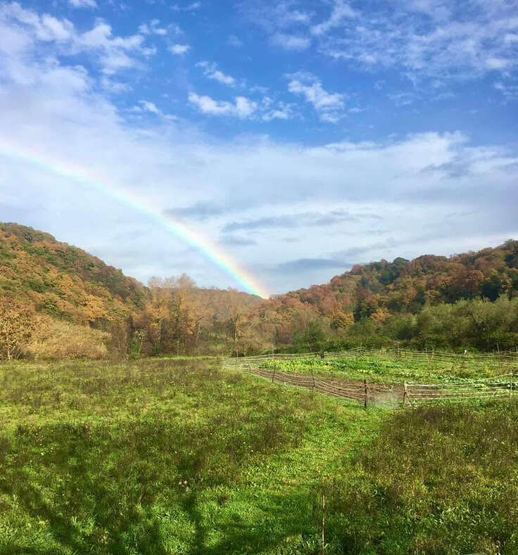 Um arco-íris vibrante se estende por um céu azul brilhante, arqueando sobre colinas ondulantes com árvores coloridas de outono e um campo verde e exuberante cercado por cercas de madeira.