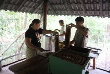 Three people are working with beehive frames under a covered structure in a forested area, likely extracting honey, using various beekeeping tools and equipment.