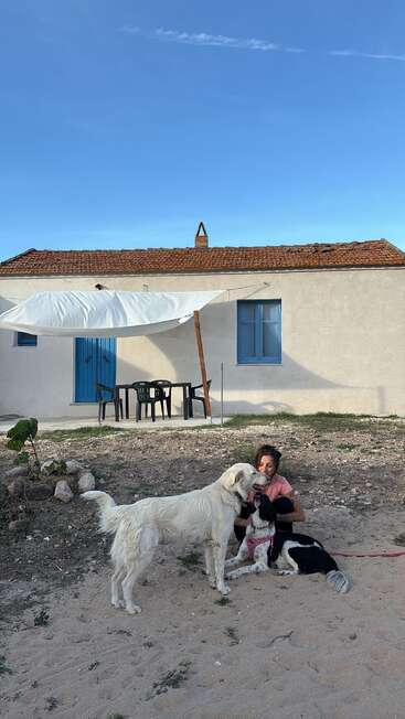 Une femme est assise sur le sable et s'amuse avec deux chiens devant une maison rustique aux fenêtres bleues, dotée d'un auvent et de chaises d'extérieur, sous un ciel dégagé.