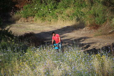 Un homme vêtu d'une chemise rouge se tient sur un chemin de terre près de grandes fleurs sauvages, au milieu de la verdure et de la nature, en train de pousser une poussette ou un chariot bleu.