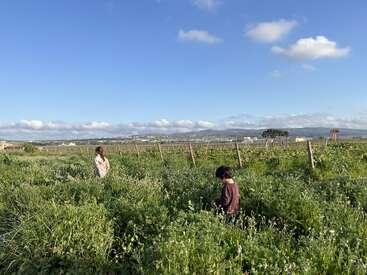 Zwei Kinder stehen auf einer grünen Wiese unter einem strahlend blauen Himmel mit ein paar Wolken. Am Horizont sieht man Hügel und Gebäude in der Ferne, was eine friedliche Atmosphäre schafft.