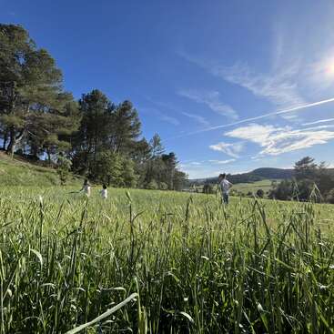 Drei Leute spazieren an einem sonnigen Tag durch eine üppig grüne Wiese, umgeben von Bäumen und Hügeln unter einem strahlend blauen Himmel mit leichten Wolken.