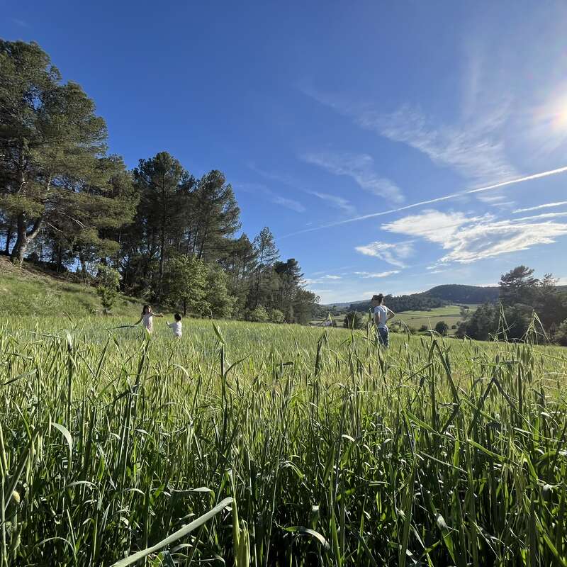 Drei Leute spazieren an einem sonnigen Tag durch eine üppig grüne Wiese, umgeben von Bäumen und Hügeln unter einem strahlend blauen Himmel mit leichten Wolken.