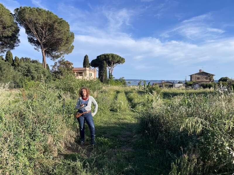 The image depicts a woman standing in a lush grassy field, surrounded by trees and a house in the background, set against a blue sky with wispy clouds.