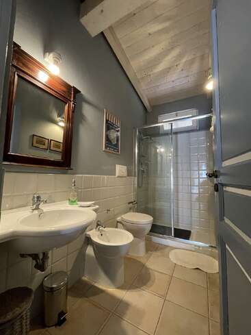 The image shows a cozy, modern bathroom with a wooden ceiling, a shower, sink, bidet, toilet, mirror, and wall art, featuring neutral and blue tones.