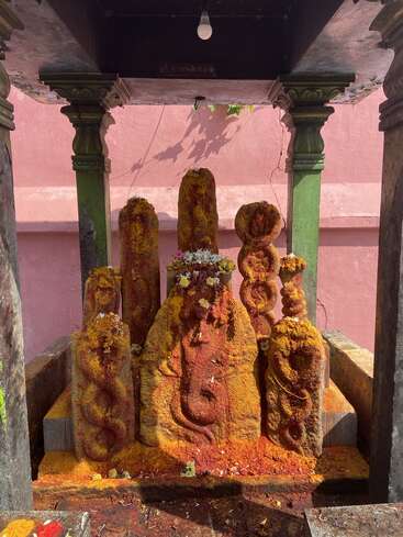 Dieses Bild zeigt alte Schlangenidole in einem Hindutempel, die mit Kurkuma und Blumen bedeckt sind und unter einem kleinen Steinschrein mit grünen Säulen und einer hängenden Glühbirne stehen.