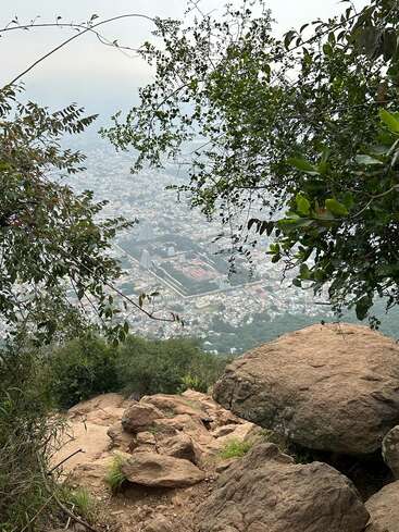 Ein felsiges Gelände an einem Hang, teilweise umrahmt von grünen Ästen, überblickt eine ausgedehnte Stadtlandschaft mit dichten Gebäuden und entfernten Strukturen unter einem dunstigen Himmel.