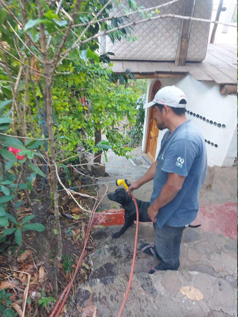 Ein Mann in blauem Hemd und Mütze tränkt einen schwarzen Hund mit einem Schlauch auf einer Steintreppe, umgeben von grünen Pflanzen in der Nähe eines kleinen Hauses.
