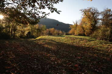 The image shows a peaceful autumn landscape with golden sunlight, fallen leaves on the grass, colorful trees, and a distant hill under a clear blue sky.