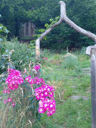 A rustic garden scene features vibrant pink flowers, a unique wooden archway, tall grasses, and lush greenery, set against a backdrop of dense, leafy trees.