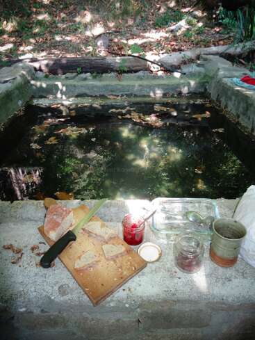 A rustic outdoor scene with a stone basin full of water, surrounded by trees. In front, bread, jam, a knife, jars, and a mug rest on stone.