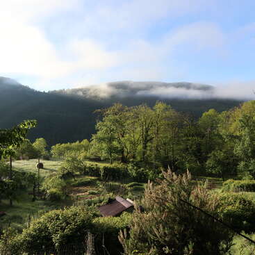 Un tranquilo paisaje rural con frondosos árboles verdes, pequeñas casas enclavadas debajo, colinas ondulantes y volutas de nubes que se ciernen sobre la montaña boscosa a la luz de la mañana.