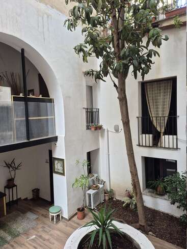 This image shows a charming indoor courtyard with white walls, a tall tree, various potted plants, small balconies, wooden flooring, and natural light entering the space.