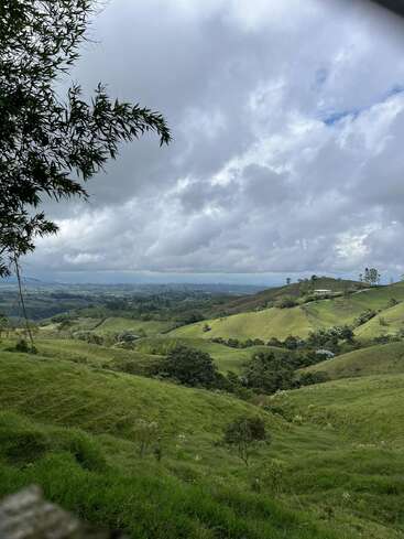 Grüne Hügel erstrecken sich unter einem wolkenverhangenen Himmel. Verstreute Bäume und Waldstücke sorgen für Tiefe. Der ferne Horizont verschwindet im Nebel und schafft eine friedliche Atmosphäre.