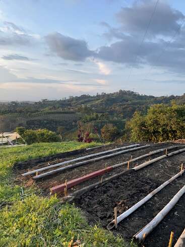 Esta imagen muestra un pequeño huerto organizado con hileras de camas de tierra, rodeado de exuberante vegetación y colinas bajo un cielo parcialmente nublado y pintoresco.
