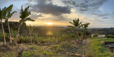Una impresionante puesta de sol cubre un paisaje tropical con palmeras, exuberante vegetación y ondulantes colinas. El cielo está parcialmente nublado, proyectando una cálida luz dorada por todas partes.