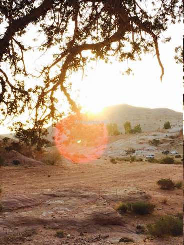 Das Bild zeigt eine Wüstenlandschaft mit einem Baum im Vordergrund, einem Hügel im Hintergrund und ein paar geparkten Fahrzeugen in der Ferne.