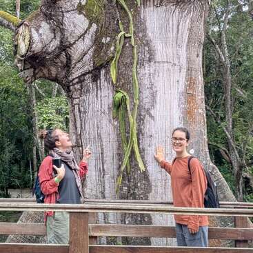 Two people stand in front of a massive tree, smiling and touching the trunk. The tree is surrounded by a rich, green forest with vibrant foliage.