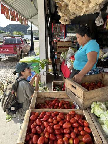 A woman and a customer interact at an outdoor produce stand, surrounded by wooden crates filled with tomatoes and vegetables, with a red pickup truck nearby.