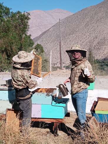 Dos hombres con trajes de apicultor junto a coloridas colmenas, uno con un ahumador en la mano y el otro con un panal, en un paisaje desértico con montañas al fondo.