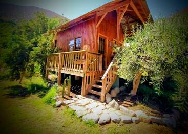 A charming wooden cabin with a front porch, set amidst greenery and trees. Sunlight brightens the rustic structure, surrounded by rocks and natural landscape. Peaceful atmosphere.