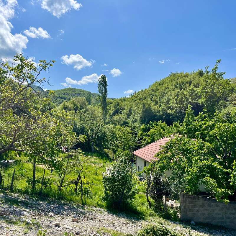 Das Bild zeigt eine ruhige, ländliche Landschaft mit einem kleinen Haus mit rotem Dach, eingebettet in üppige Bäume und Grün, vor einem strahlend blauen Himmel mit weißen Wolken.