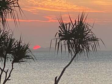 Un coucher de soleil éclatant teinte le ciel d'orange et de rose, tandis que le soleil rouge effleure l'horizon. Les silhouettes des arbres tropicaux encadrent cette scène marine paisible.