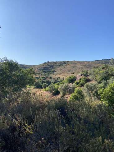 A sunny, clear blue sky stretches above rolling hills. Lush green bushes and trees fill the foreground, while dry grass and shrubs cover the slopes. Peaceful scenery.