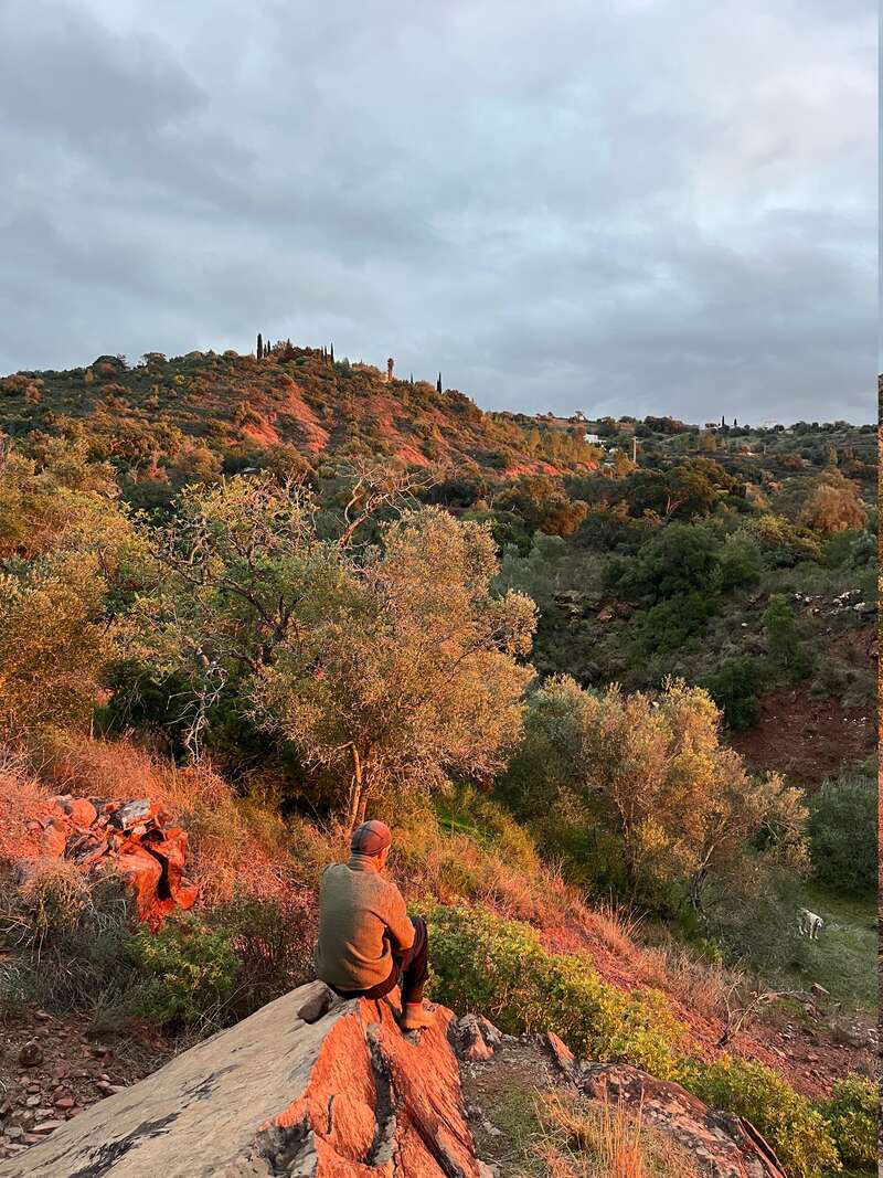 A person sits on a rock, gazing at a lush, sunlit hillside. The sky is cloudy, casting dramatic light and tranquil shadows over the landscape.