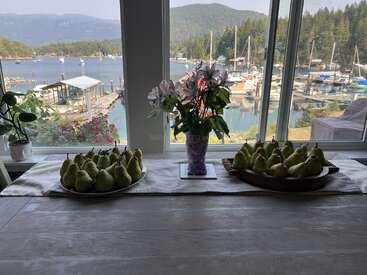 Ein schöner Tisch ist gedeckt mit zwei Tellern mit Birnen und einer Vase mit Blumen, mit Blick auf einen Yachthafen voller Boote und umgeben von grünen Hügeln.